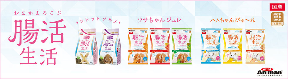 親子で！家族で！工作を楽しもう！ 簡単！組み立てやすいダンボール製　道具不要で気軽にできる！