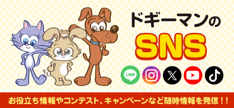ドギーマンのSNS