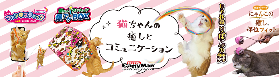 ねこちゃんの国産牛乳　お腹にやさしい乳糖ゼロ ネコちゃんの牛乳