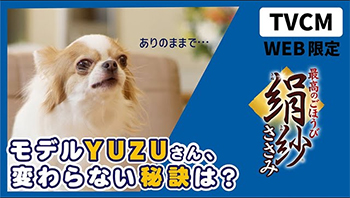 絹紗　「ユーザーズボイス<br class=pc>～YUZU（モデル）～」篇