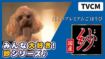 紗　シリーズ