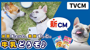 ペット用　牛乳