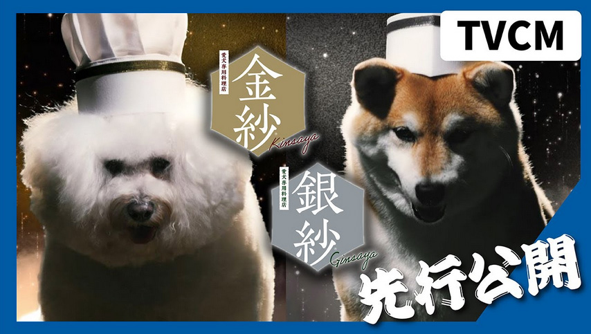 金紗・銀紗