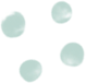 わんごはんの作り方