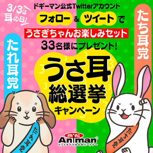 うさ耳総選挙キャンペーン