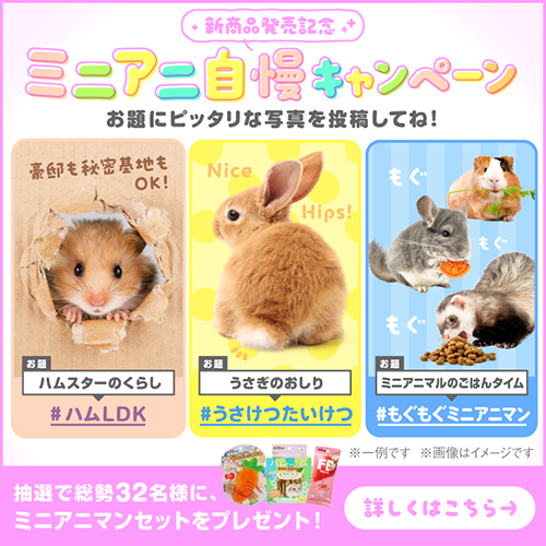 ミニアニ自慢キャンペーン