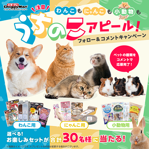 うちのこアピール！フォロー＆コメントキャンペーン