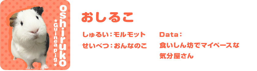 おしるこ