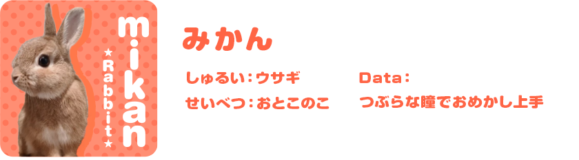 みかん