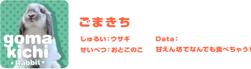 ごまきち