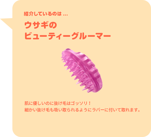 紹介しているのは...ウサギのビューティーグルーマー