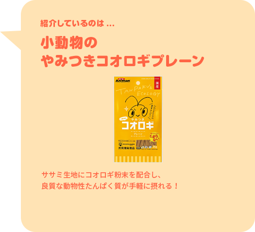 紹介しているのは...小動物のやみつきコオロギプレーン