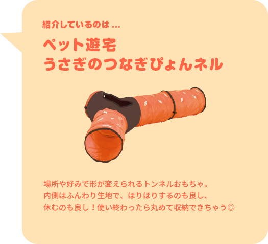 紹介しているのは...ペット遊宅 うさぎのつなぎぴょんネル