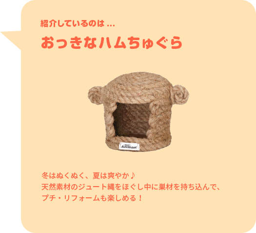 紹介しているのは...おっきなハムちゅぐら