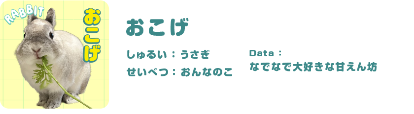 おこげ