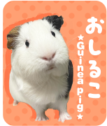 おしるこ