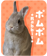 ぽむぽむ