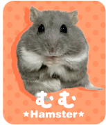 むむ