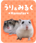 うり＆みるく