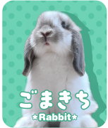 ごまきち