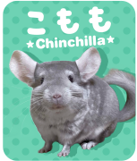 こもも