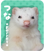 つな