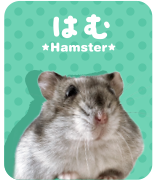 はむ