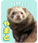 やまと