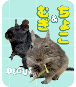 むぎ＆ちょこ