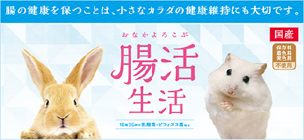 おなかよろこぶ腸活生活