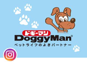 ドギーマンInstagram