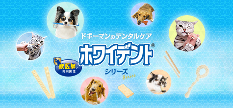 ホワイデント