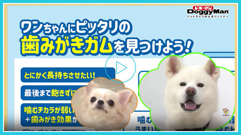ホワイデント編