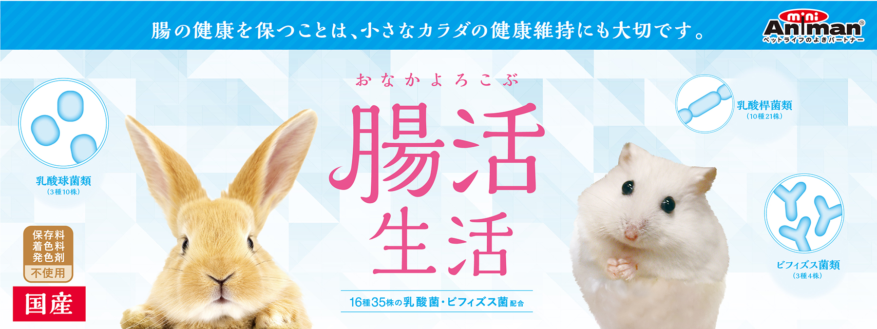 腸活生活