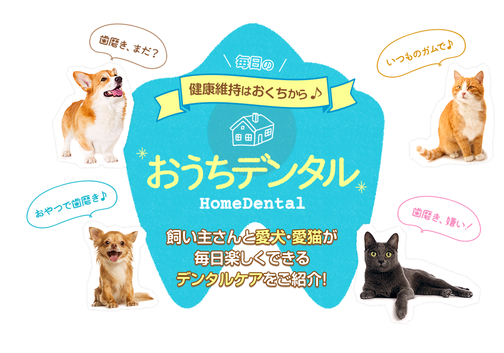 毎日の健康維持はおくちから♪　おうちデンタル HomeDental　飼い主さんと愛犬・愛猫が毎日楽しくできるデンタルケアをご紹介！