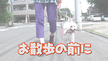 はじめてのお散歩