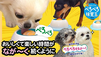わんこのぺろぺろ味覚玉