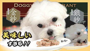 愛犬専用料理店　金紗・銀紗