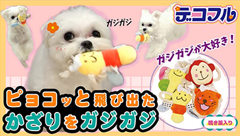 デコフル