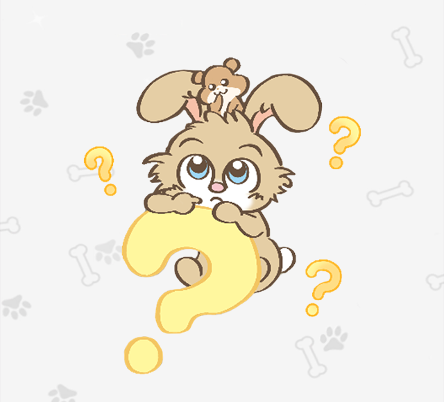 Small Animals